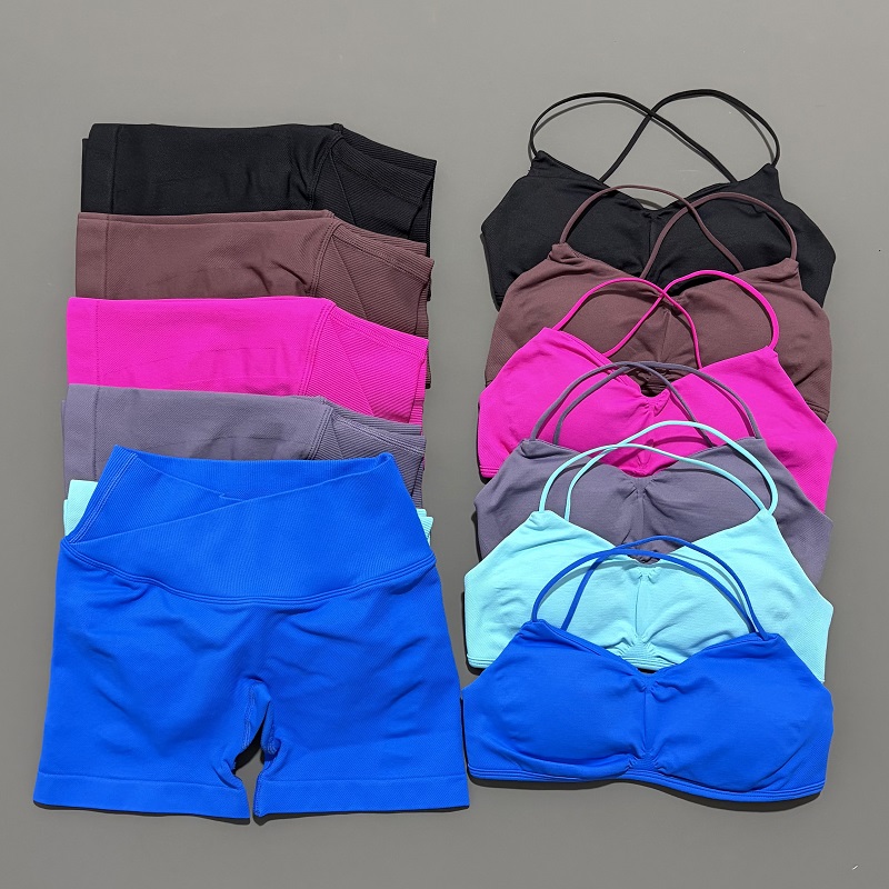 2 Piece Vision Gym Set Women Y - đánh giá và giá Pilates Yoga Outfit
