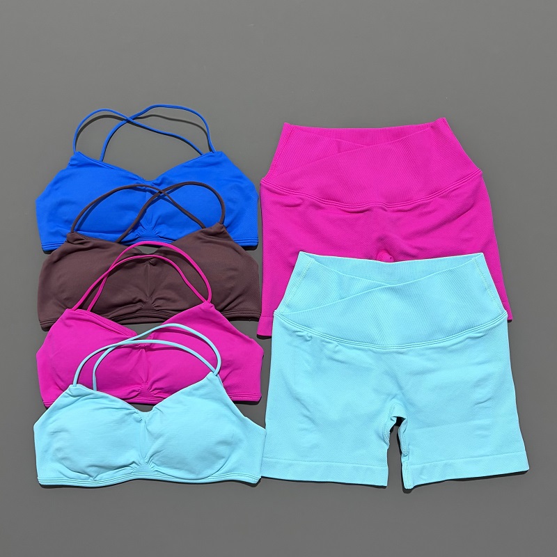 2 Piece Vision Gym Set Women Y - đánh giá và giá Pilates Yoga Outfit