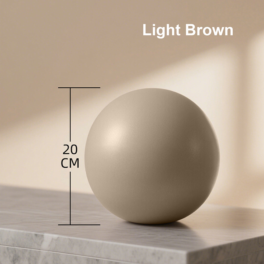 20cm Matte Exercise Ball Barre - đánh giá và giá Pilates Yoga Ball Workout
